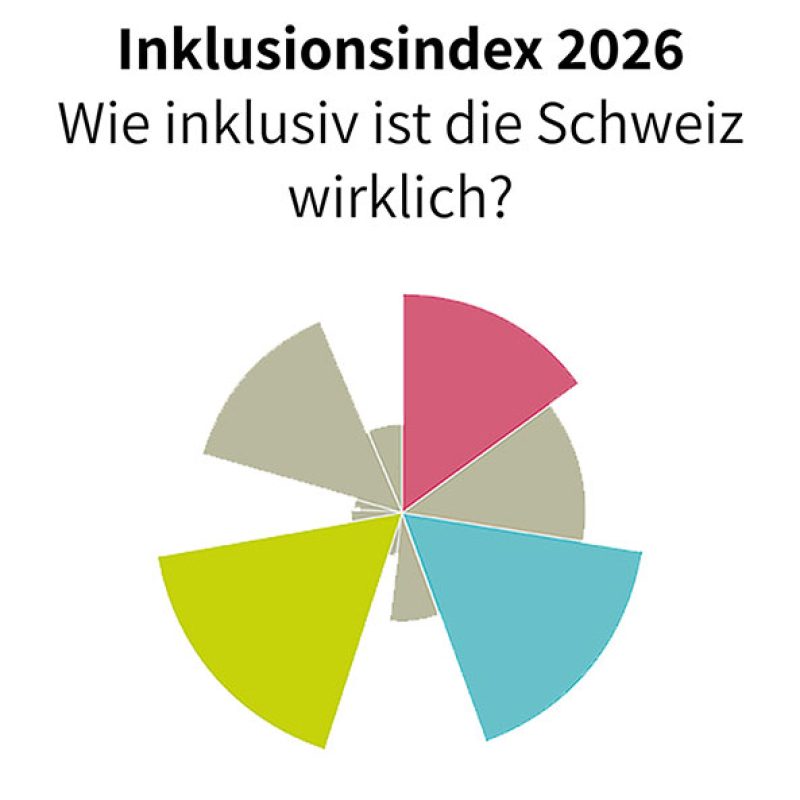 Grafik mit der Überschrift ‚Inklusionsindex 2026 – Wie inklusiv ist die Schweiz wirklich?‘. Darunter ein Kreisdiagramm mit fünf farbigen Segmenten in Pink, Blau, Gelb und Beige.